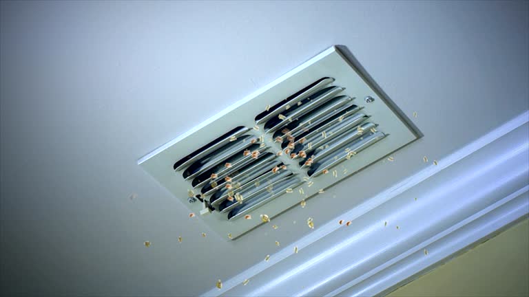 Best Home Air Vent Cleaning  in Seagraves, TX